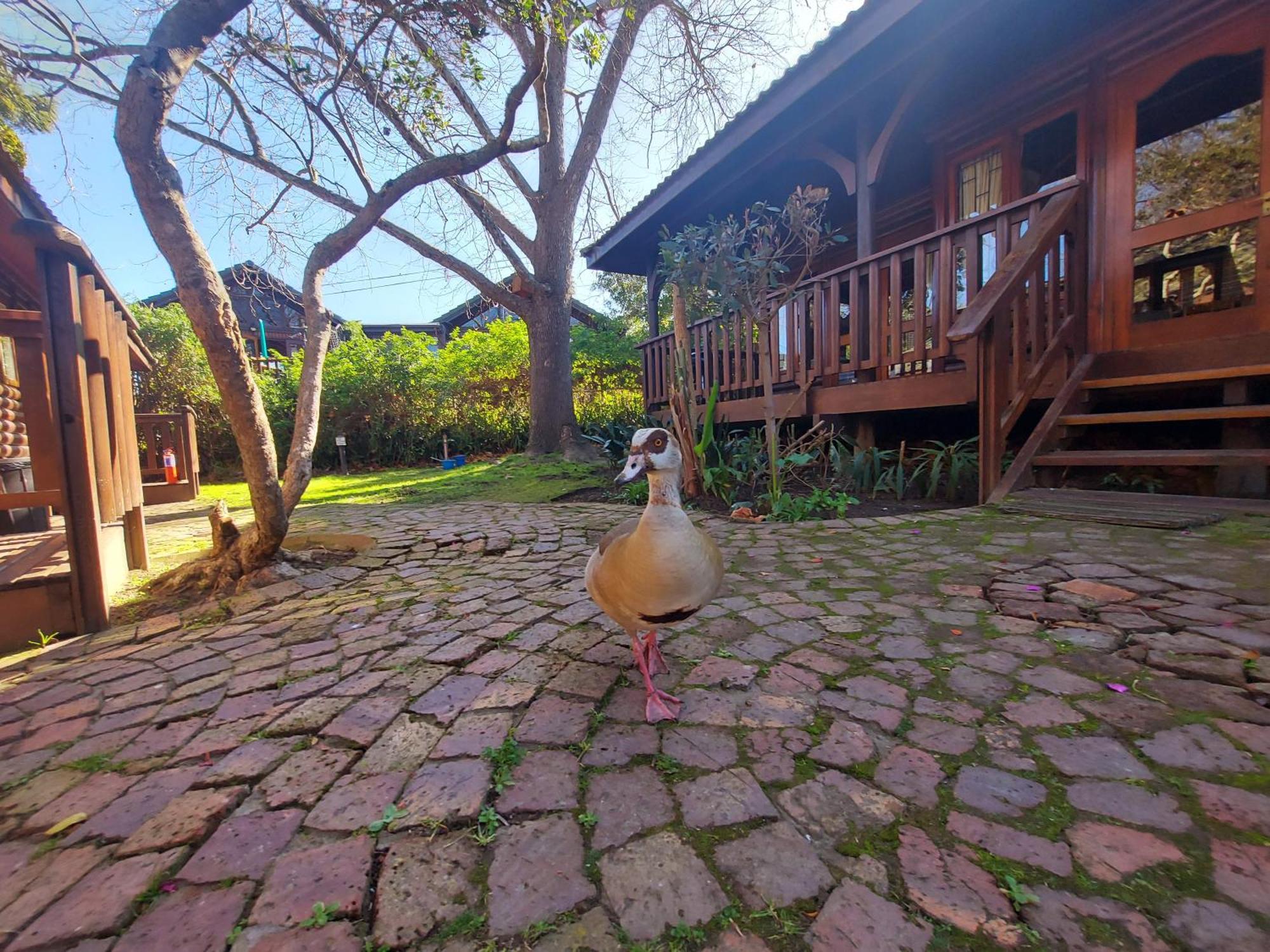 Knysna River Club By First Private Stays Exterior foto